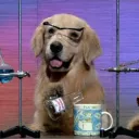 GMU Chemistry