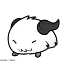 Comunidad del Poro