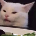 SadCatSteve Server