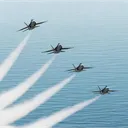 変態飛行部（SEA WOLVES OFFICIAL SERVER)