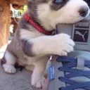 "Cute"