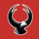 FALCON GAMING