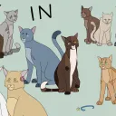 IN - Warrior Cats MAP server