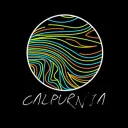 Calpurnia/The Aubreys