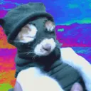 wEiRd Town (archived)