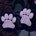 Church of Paws