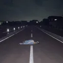 𝘔𝘦𝘢 𝘙𝘰𝘰𝘮