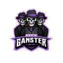 CitY GanSteR!!!