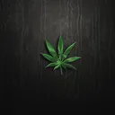 KCCannaClub