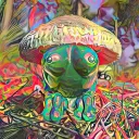 Paco Limited