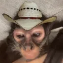 eu e dani no setor Discord server icon