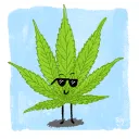 🌵NarkoBaronai🌵 Discord server icon