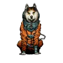 BD Cosmos