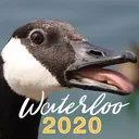 Waterloo Applicants 2029