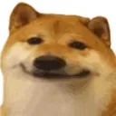 ➲ 𝙍𝙚𝙗𝙞𝙧𝙩𝙝 𝙤𝙛 𝘽𝙧𝙪𝙝𝙙𝙤𝙜 📈