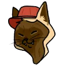 Cat Call