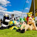 Magdeburger Furrys