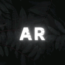 𝑨 𝑹