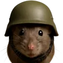 EL NIDO DE LAS RATAS 🐀