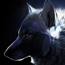 Wolf Server 4
