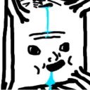 dogs
