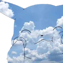 Sky’s Cloud
