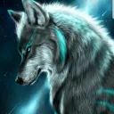 Les Ptits Loups Blancs