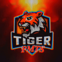 TIGER ESPORTS icon