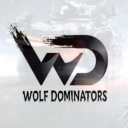 WDxAVNGIC ESPORTS icon