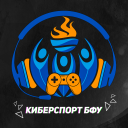 Киберспорт БФУ