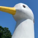 Long Island SSBM