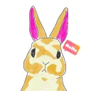 CRAZY_RABBIT.plg