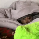 ゼロくらの鯖