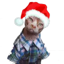 AHNA
