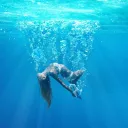 Under The Silver Lake