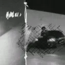 /cali2 Discord Server Icon