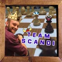 TEAM SCANDI