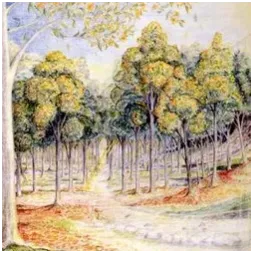 Lothlórien - Discord Server Lothlórien - Discord Server