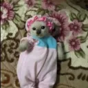 Myslovitz