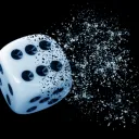 The Dice