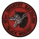 Task Force 151st ''Black Wolves"