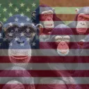 The MonkeyBoyz FREEDOM 250