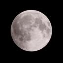 Moonlight Esports icon