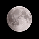 Moonlight Esports icon