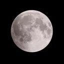 Moonlight Esports