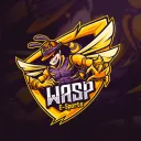 WASP E-Sports