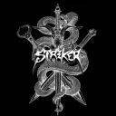 Striker Discord