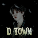 D Town Server Icon