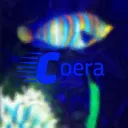 coera&co