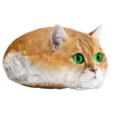 Самый смешной сервер!